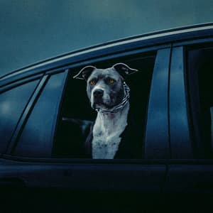 In This Bih' - Extended Mix